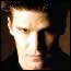 David Boreanaz